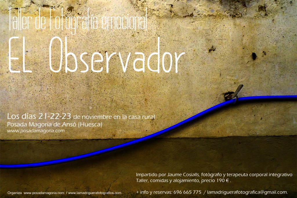 www poster Anso horizontal 2014P1040327